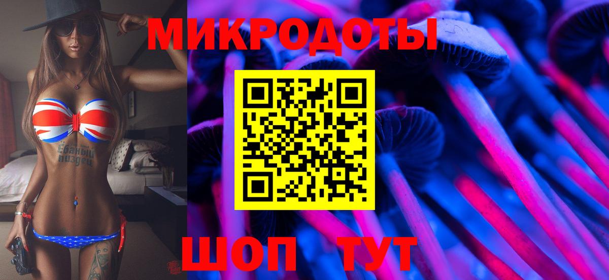Сланцы  где купить наркоту  Вход с VPN  Псилоцибиновые грибы мухоморы 